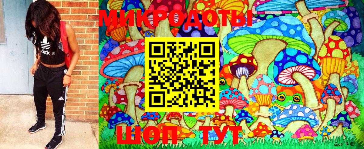 Урус-Мартан  Псилоцибиновые грибы прущие грибы  Вход с VPN 